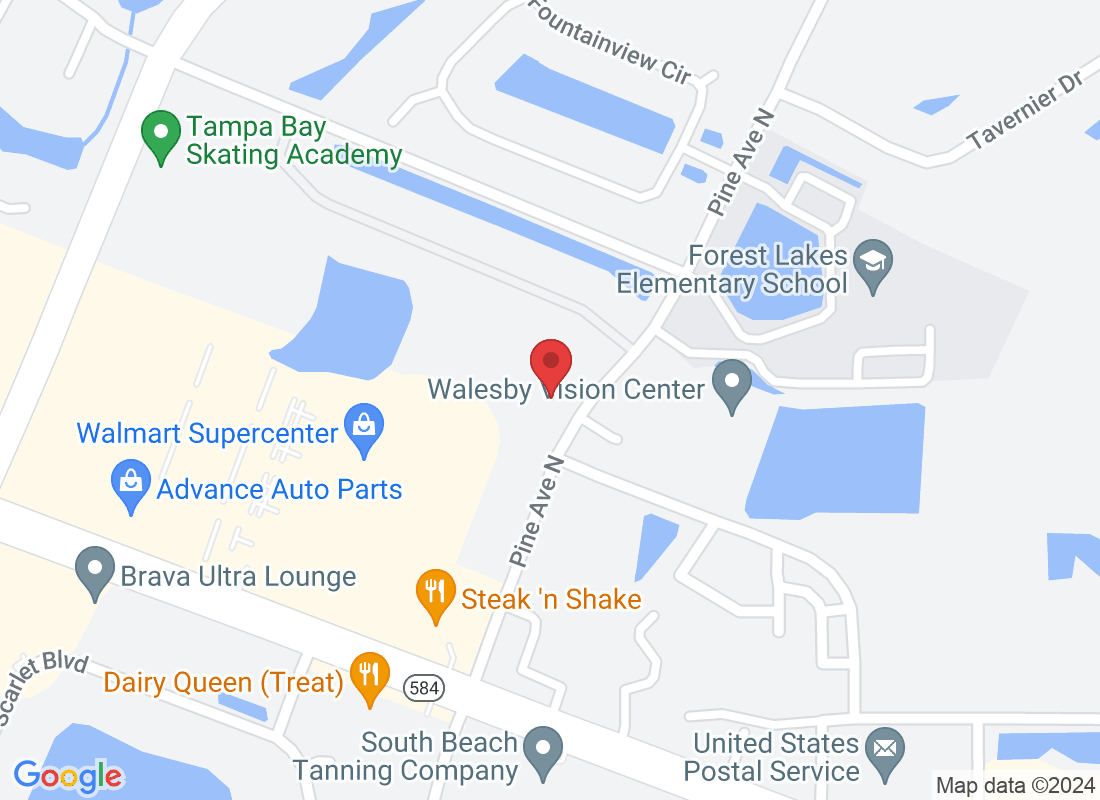 250 Pine Ave N, Oldsmar, FL 34677, USA