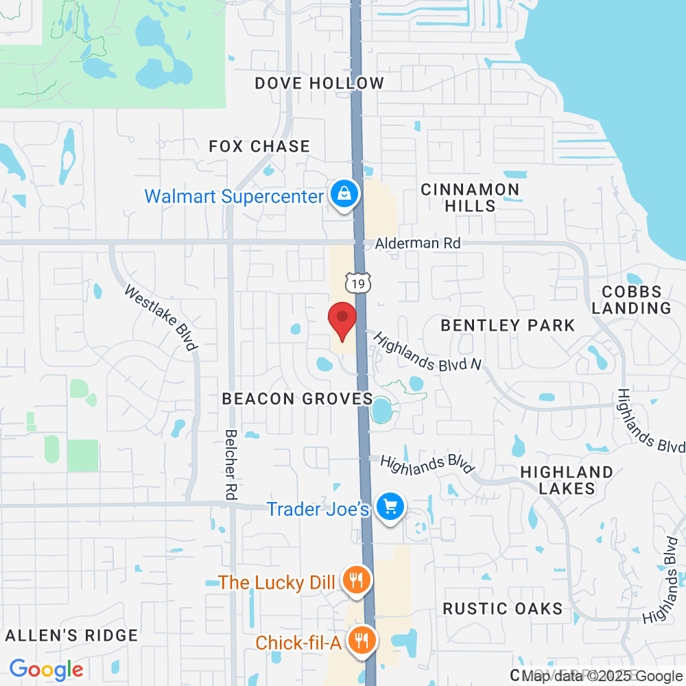 34776 US Hwy 19 N, Palm Harbor, FL 34684, USA