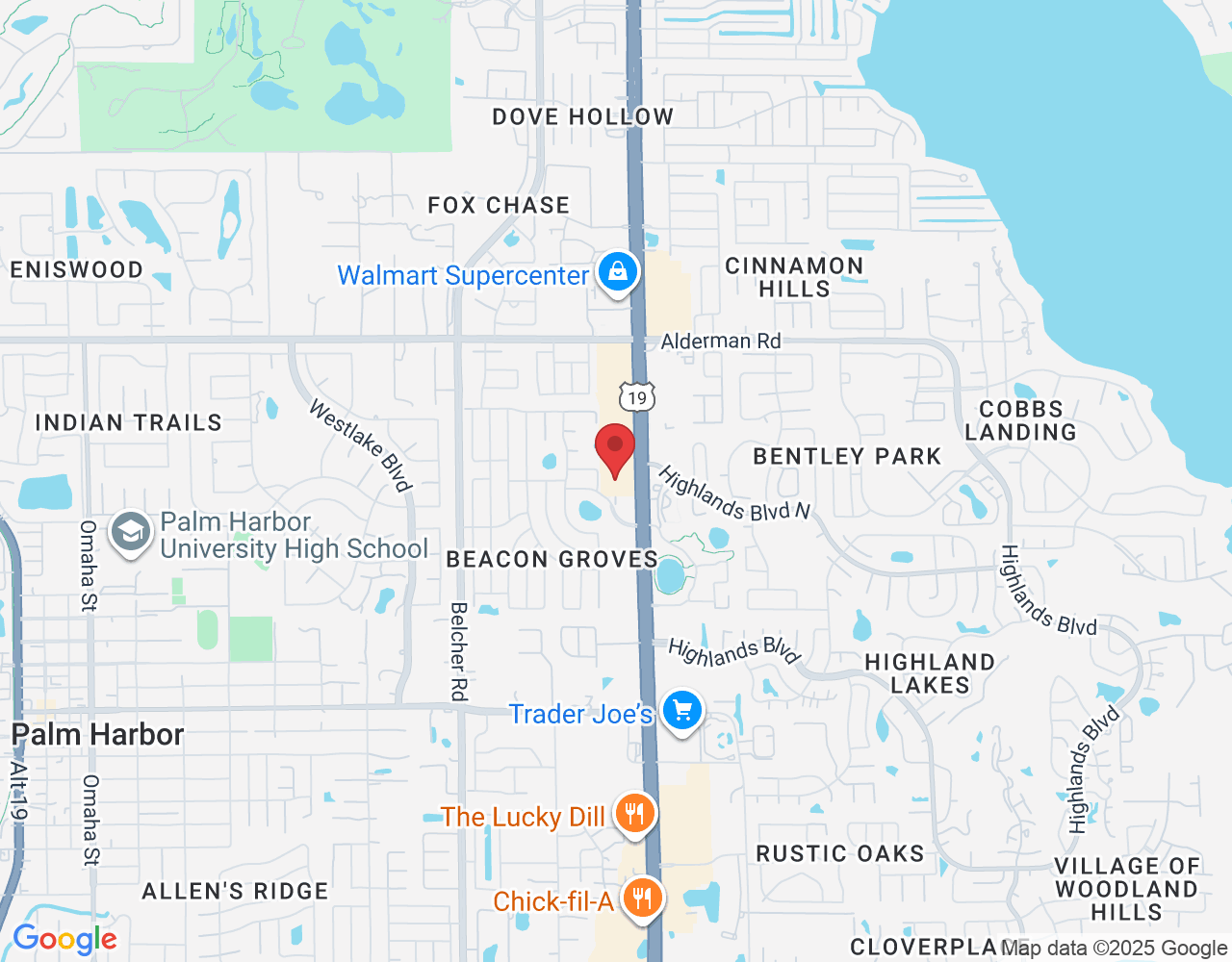 34776 US Hwy 19 N, Palm Harbor, FL 34684, USA