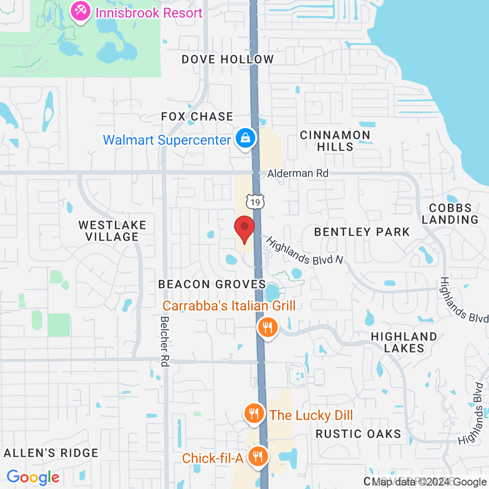 34776 US Hwy 19 N, Palm Harbor, FL 34684, USA