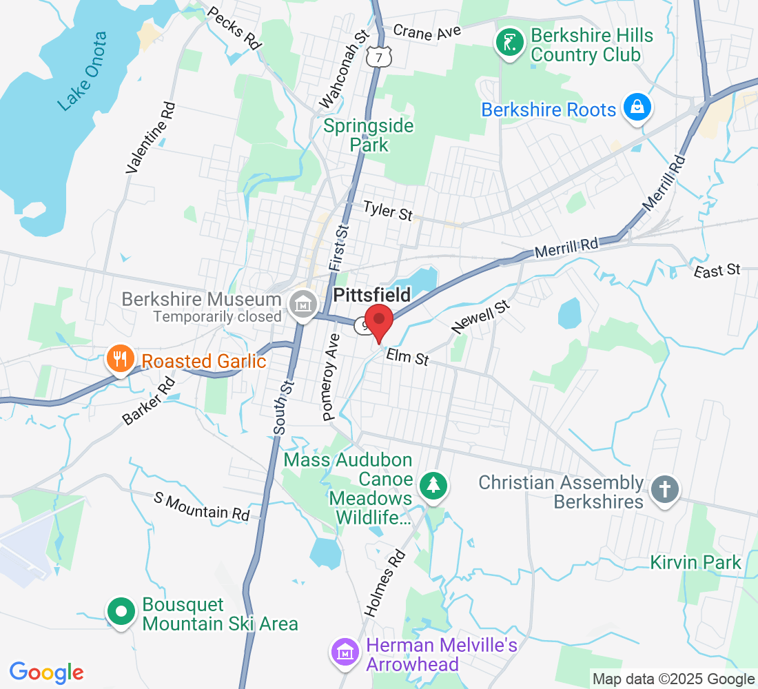48 Elm St, Pittsfield, MA 01201, USA