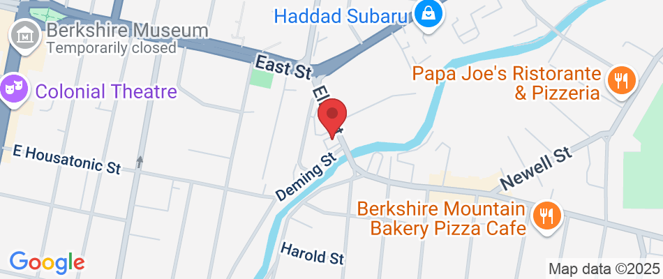 48 Elm St, Pittsfield, MA 01201, USA
