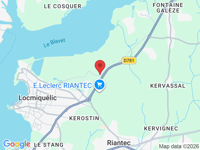 5 Rue des Artisans, 56570 Locmiquélic, France