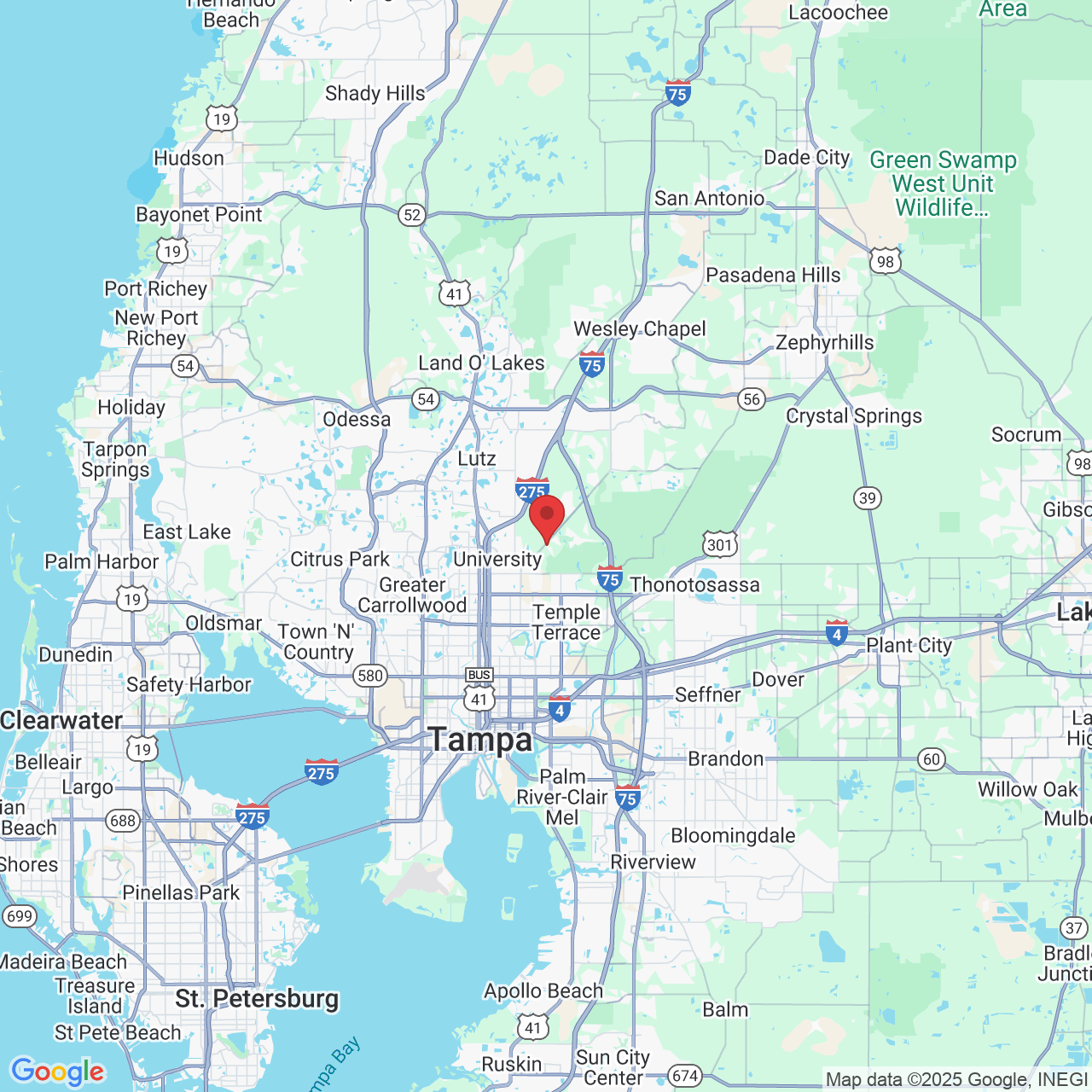 15309 Amberly Dr, Tampa, FL 33647, USA