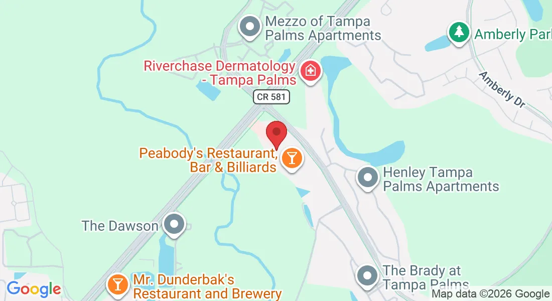 15309 Amberly Dr, Tampa, FL 33647, USA