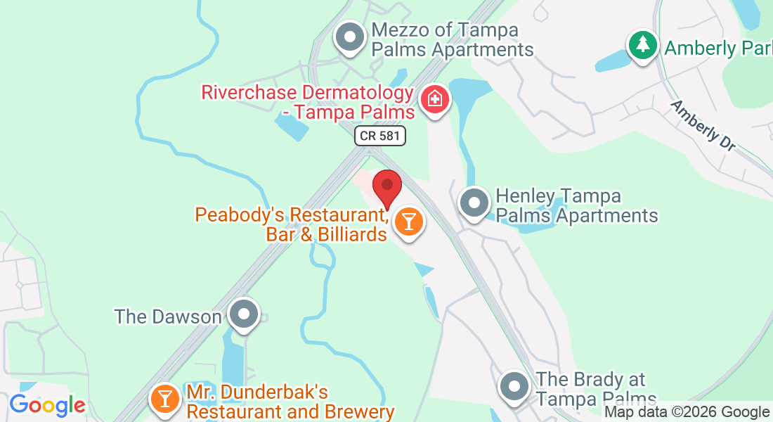 15309 Amberly Dr, Tampa, FL 33647, USA