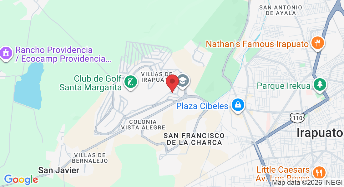 P.º de la Primavera 307, Villas de Irapuato, 36670 Irapuato, Gto., México