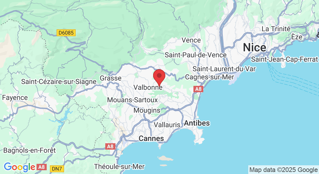 1306 Rte de Biot, 06560 Valbonne, France