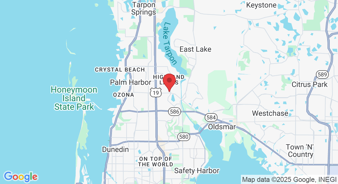 3309 Tampa Rd, Palm Harbor, FL 34684, USA