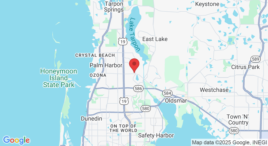 3309 Tampa Rd, Palm Harbor, FL 34684, USA