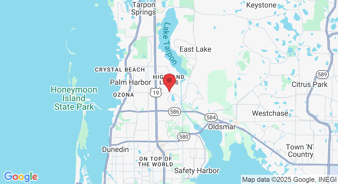 3309 Tampa Rd, Palm Harbor, FL 34684, USA