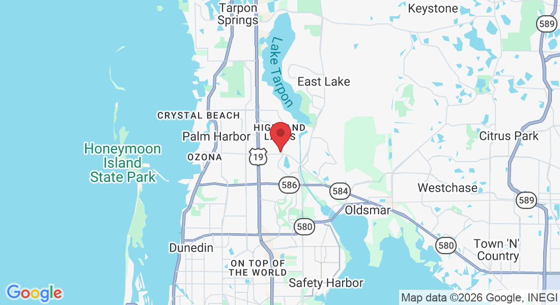 3309 Tampa Rd, Palm Harbor, FL 34684, USA