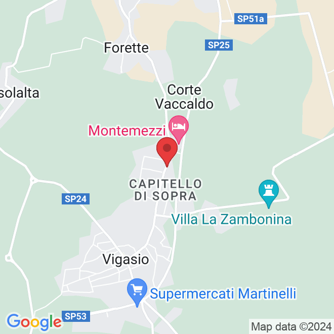 Via Verona, 76, 37068 Vigasio VR, Italy