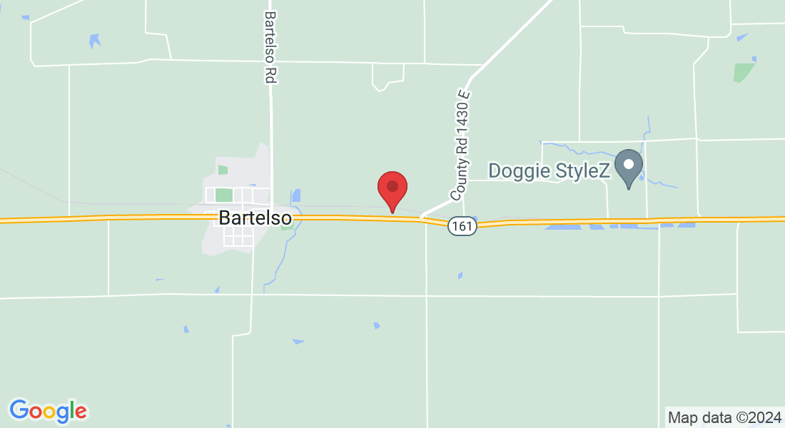 1509 Carlyle Rd, Bartelso, IL 62218, USA