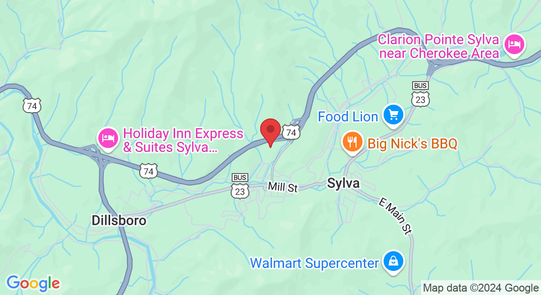 399 Grindstaff Cove Rd, Sylva, NC 28779, USA