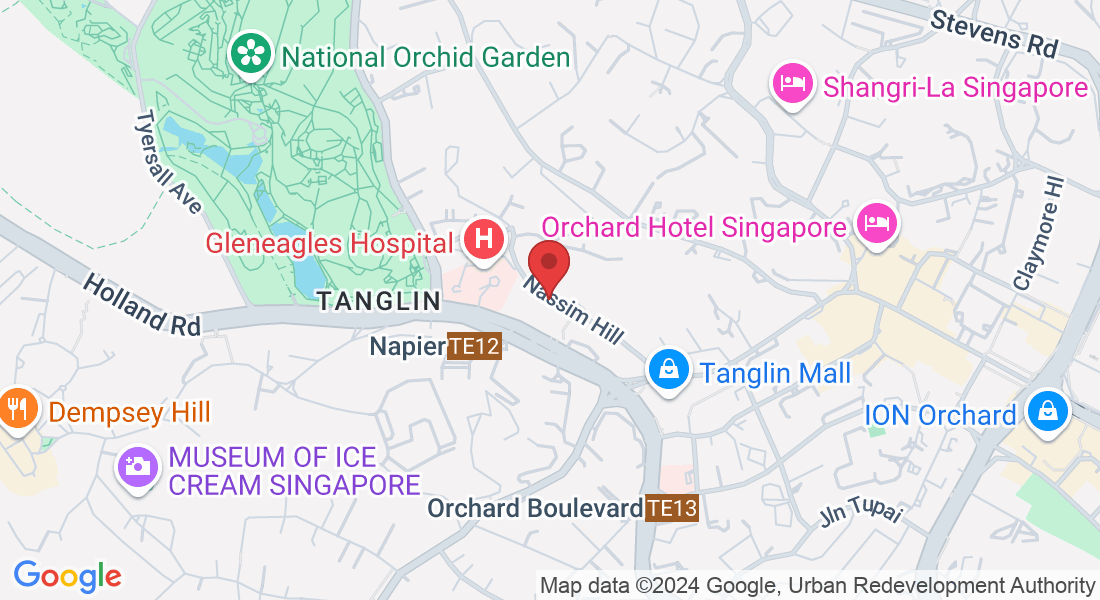 19 Nassim Hill, Singapore 258482