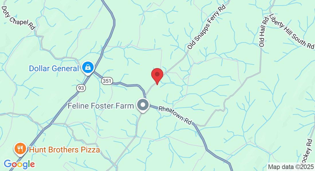 340 Old Snapps Ferry Rd, Chuckey, TN 37641, USA