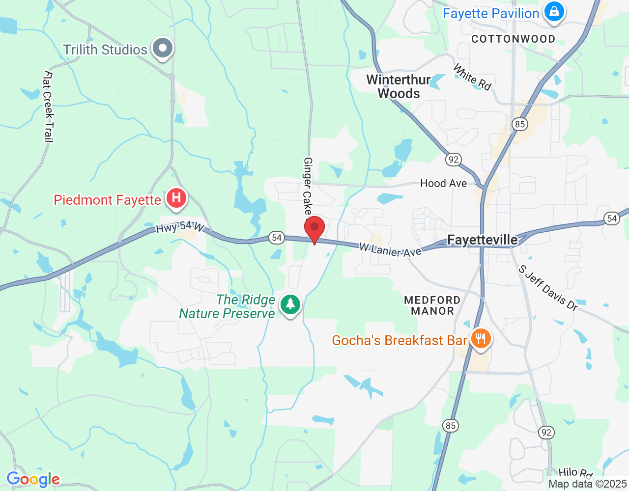 110 Howard Ln, Fayetteville, GA 30215, USA