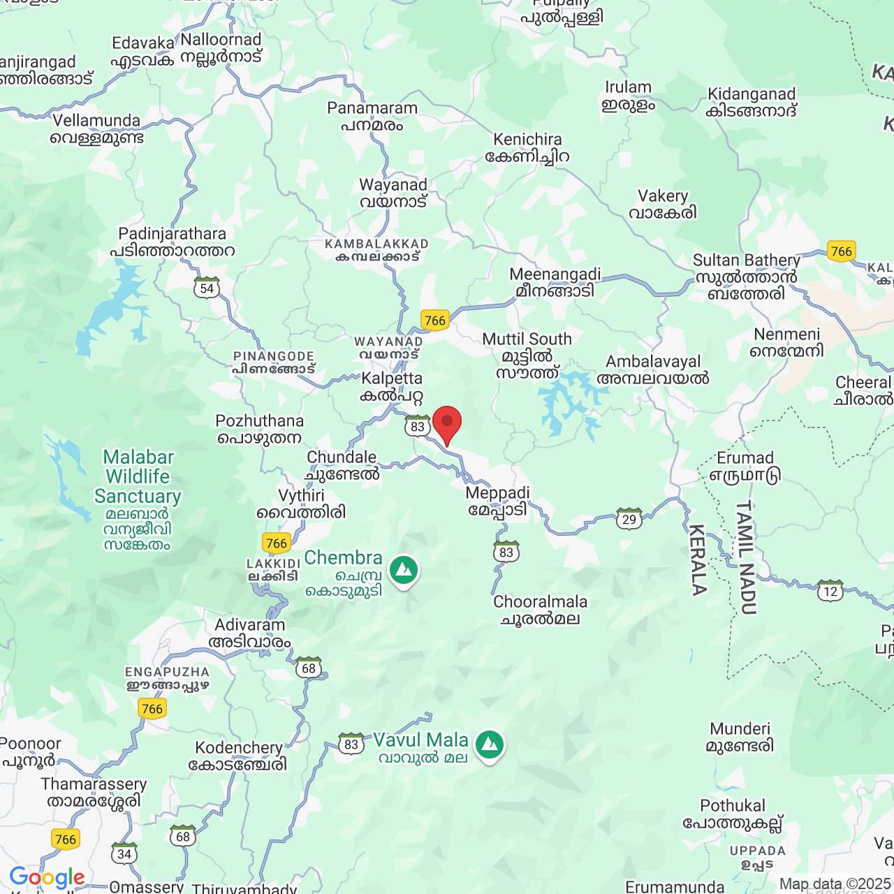 H4H5+GH4, Meppadi Rd, Kottappadi part, Thrikkaipatta part, Kerala 673577, India
