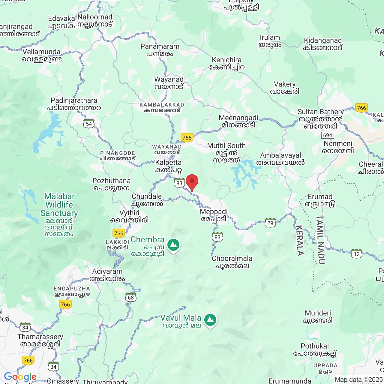 H4H5+GH4, Meppadi Rd, Kottappadi part, Thrikkaipatta part, Kerala 673577, India