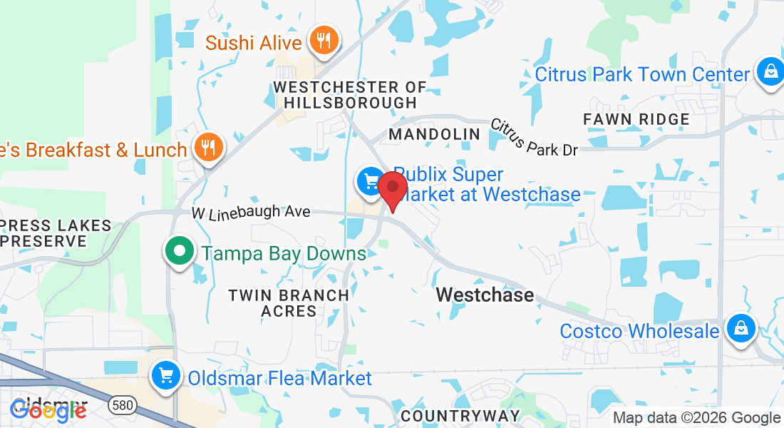 12021 W Linebaugh Ave, Tampa, FL 33626, USA