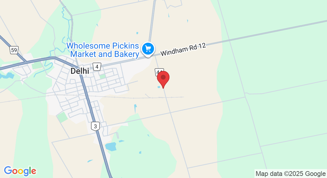 1181 Fertilizer Rd, Simcoe, ON N3Y 4K6, Canada