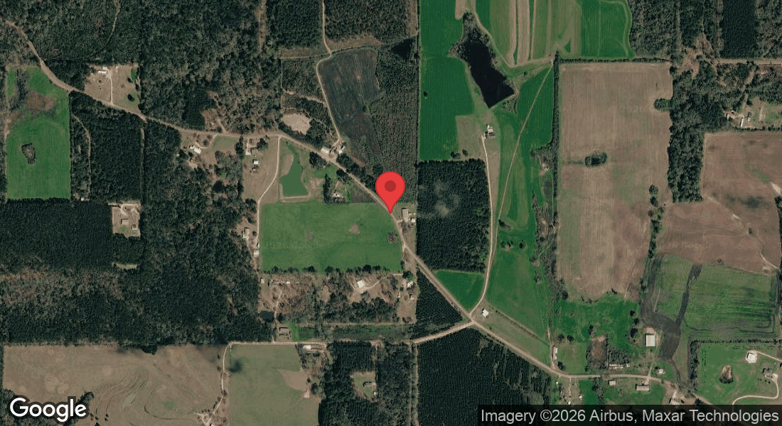28552 H H Williams Rd, Angie, LA 70426, USA