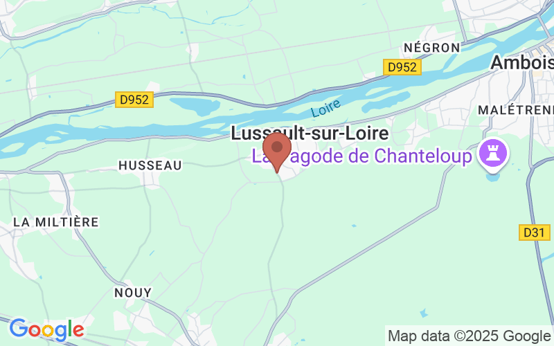Rte de Saint-Martin le Beau, 37400 Lussault-sur-Loire, France