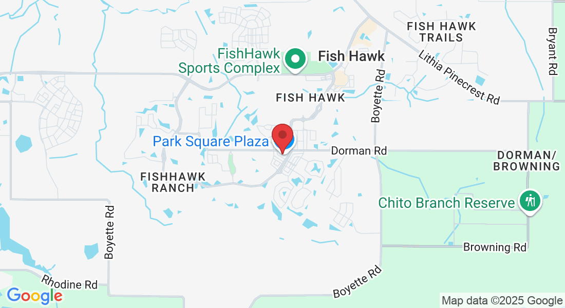 16132 Churchview Dr #210, Lithia, FL 33547, USA
