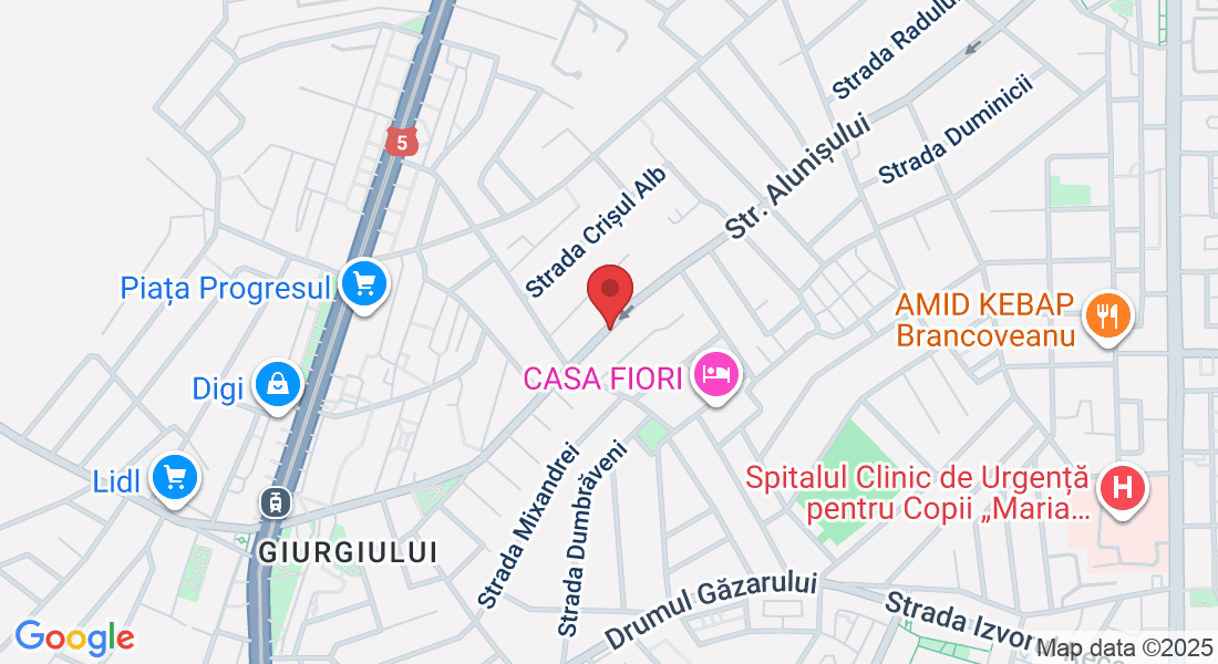 Str. Alunișului 159, București 040742, România