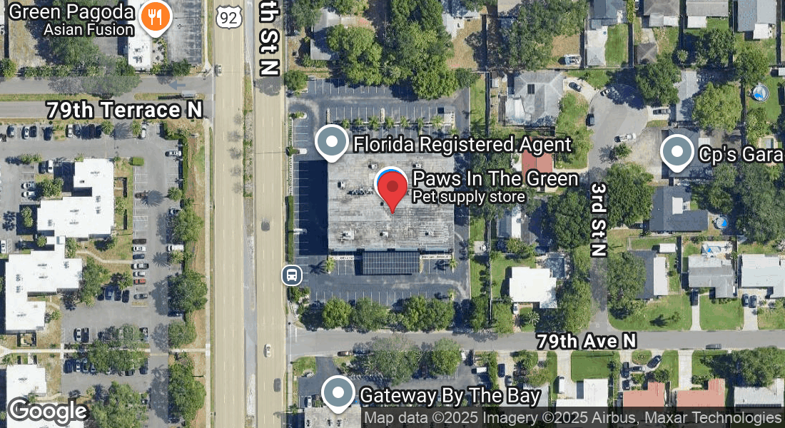 7901 4th St N, St. Petersburg, FL 33702, USA