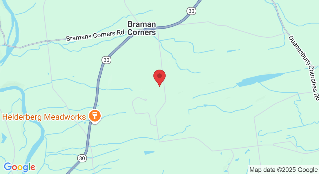 155 Gordinier Rd, Delanson, NY 12053, USA