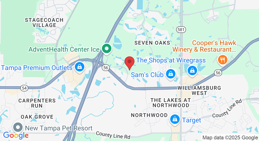 2404 Creel Ln, Wesley Chapel, FL 33544, USA