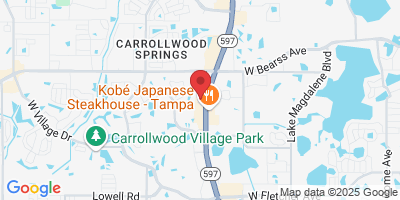 14502 N Dale Mabry Hwy Suite 200-39, Tampa, FL 33618, USA