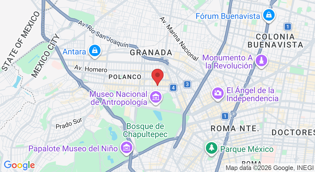 Av. Pdte. Masaryk, Polanco, Polanco V Secc, Ciudad de México, CDMX, Mexico