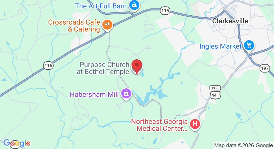 467 Bethel Temple Rd, Demorest, GA 30535, USA