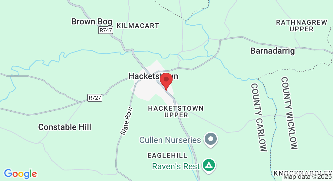 Fair Green, Hacketstown Lower, Co. Carlow, Ireland