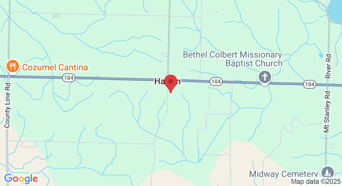1840 Hatton School Rd, Leighton, AL 35646, USA