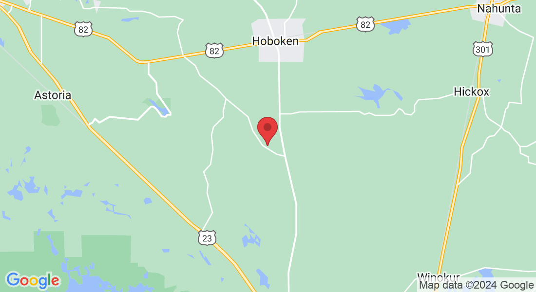 5341 High Bluff Rd, Hoboken, GA 31542, USA