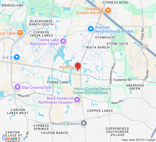 9955 Barker Cypress Rd, Cypress, TX 77433, USA