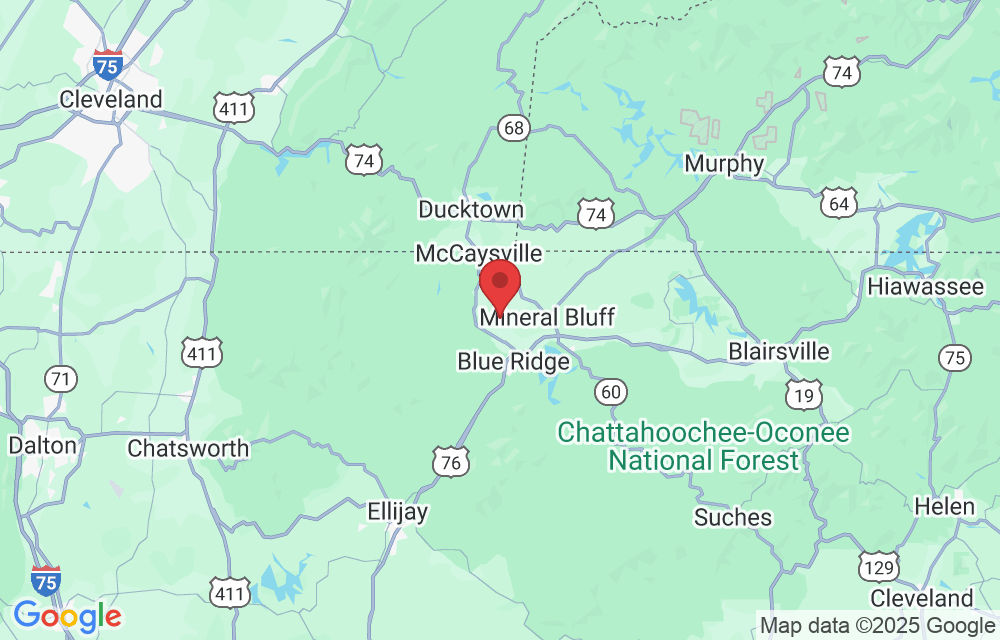 343 Windy Valley Trl, Blue Ridge, GA 30513, USA
