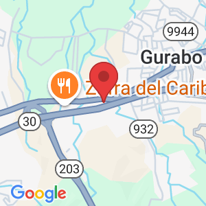 BO, Carretera 189 km 5.9, Gurabo, 00778, Puerto Rico
