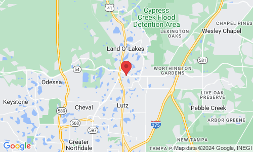 Full Life Chiropractic, 21754 FL-54, Lutz, FL 33549, USA