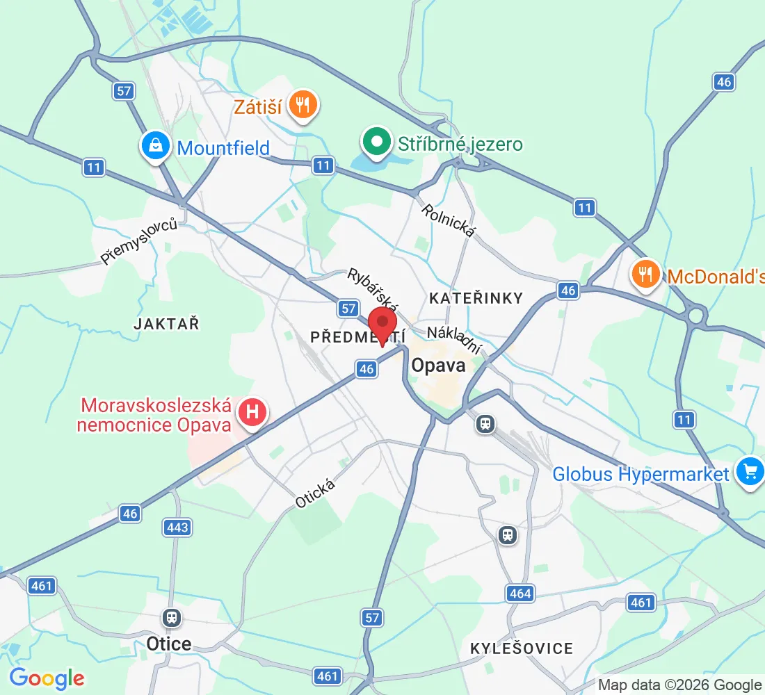 Provaznická 318/5, Předměstí, 746 01 Opava-Opava 1, Česko