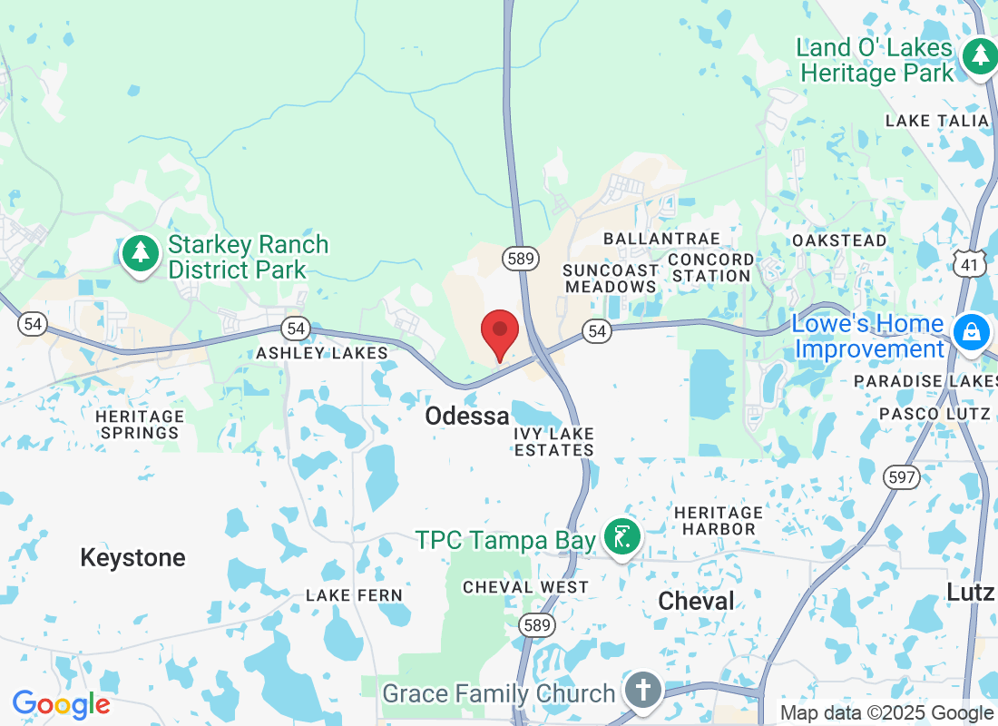 15989 Preserve Marketplace Blvd, Odessa, FL 33556, USA