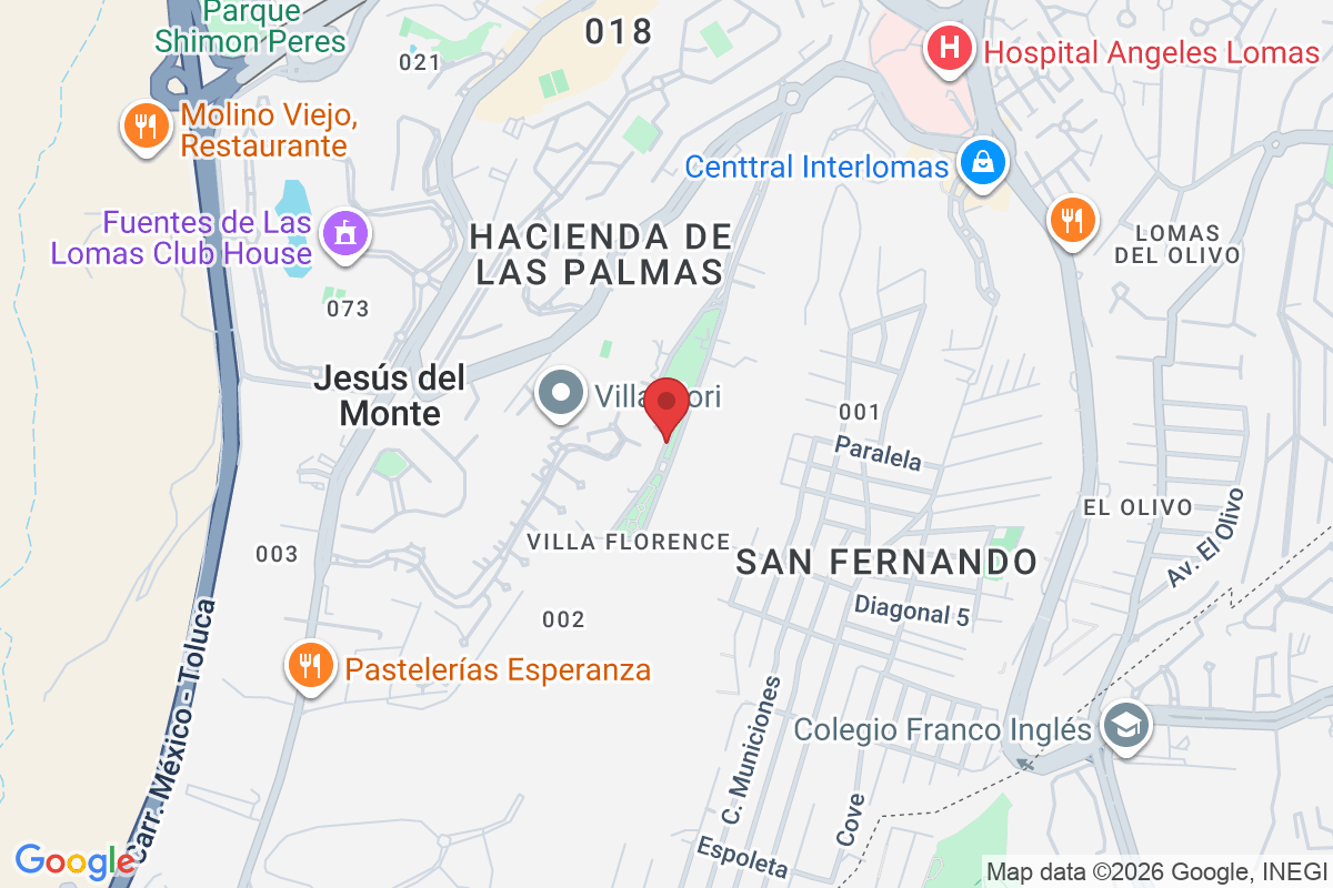 Hacienda el Ciervo 14, Hacienda de las Palmas, 52763 Jesús del Monte, Méx., México