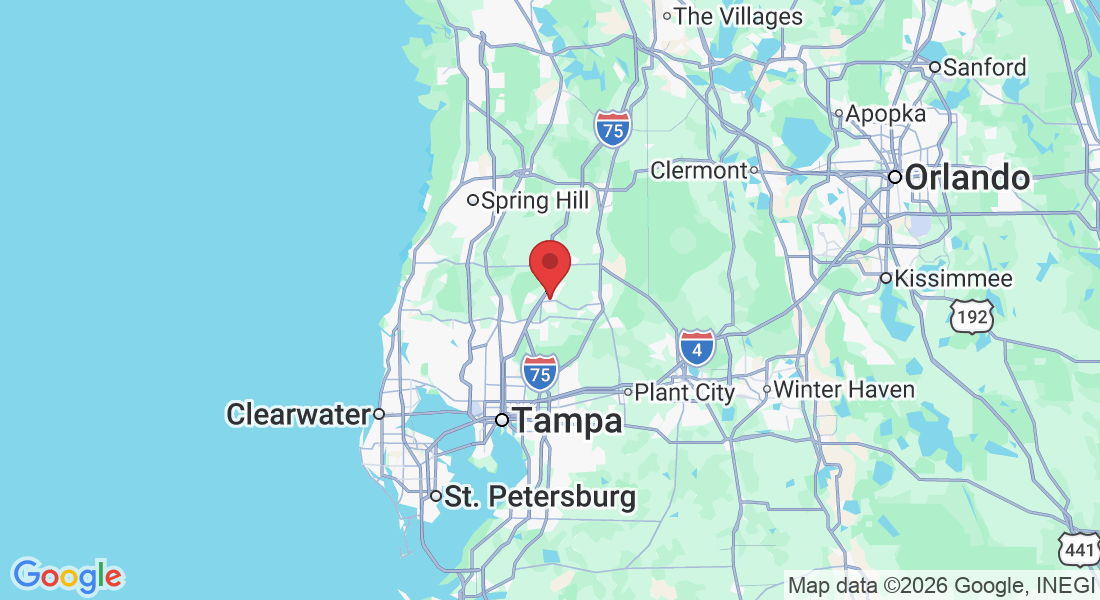 Wesley Chapel, FL, USA
