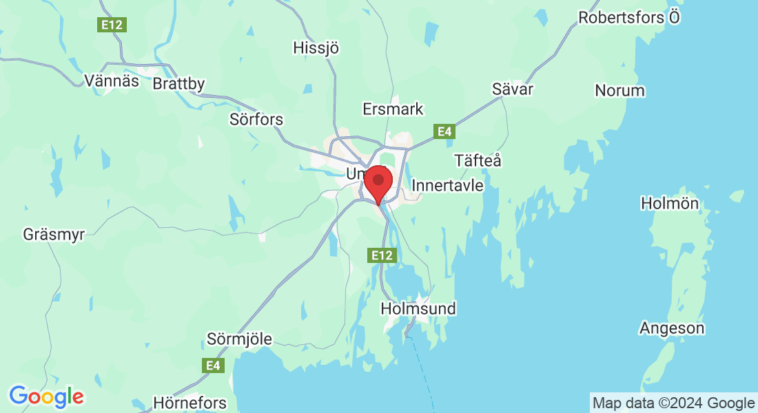 Alviksvägen 1, 904 22 Umeå, Sverige