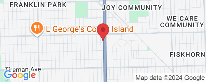8619 Southfield Rd, Detroit, MI 48228, USA