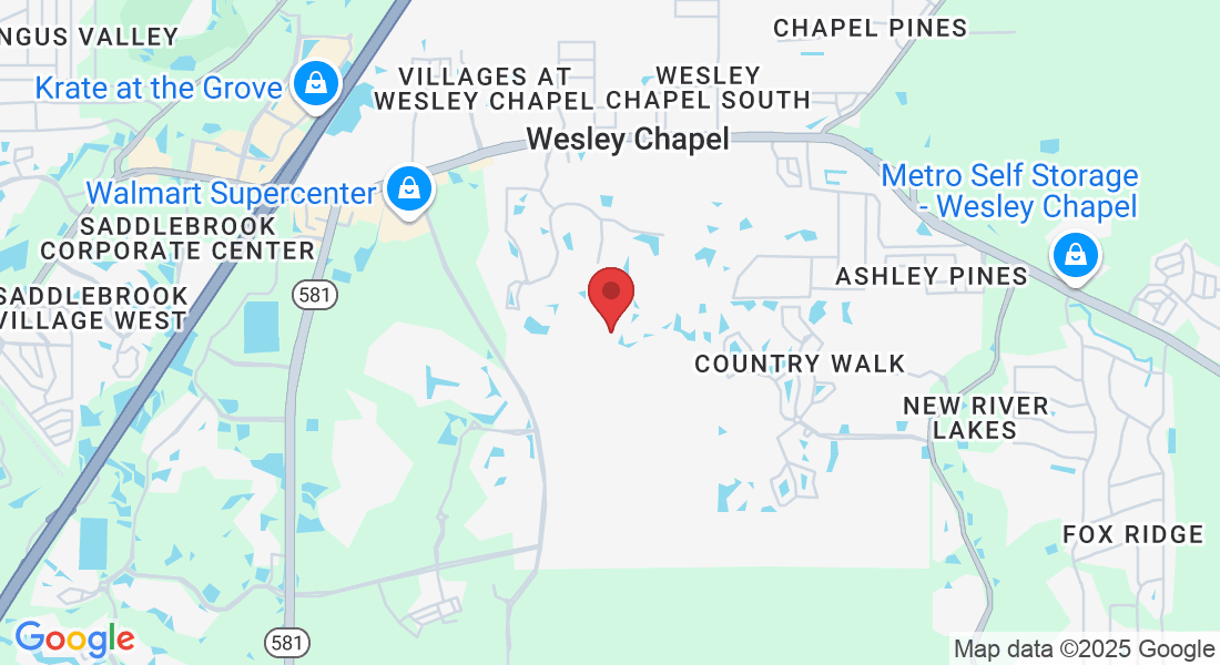 5700 Saddlebrook Way, Wesley Chapel, FL 33543, USA